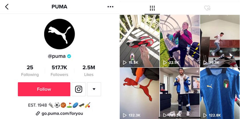 tiktok puma store