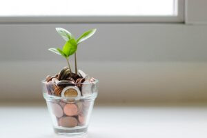 Project Management micheile henderson SoT4 mZhyhE unsplash
