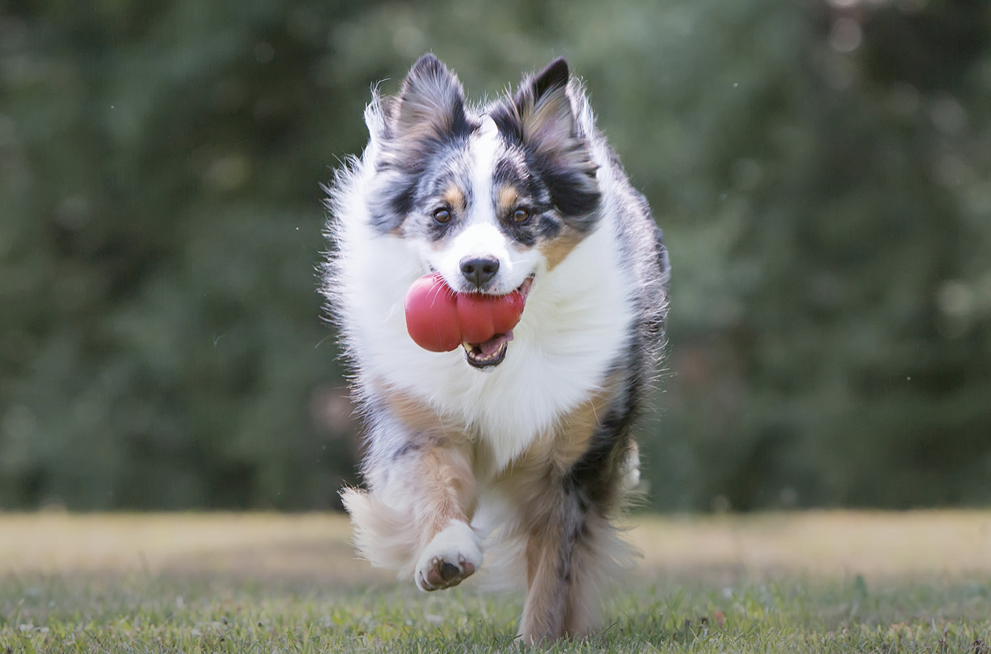 Screenshot 2025-11-13 at 9.48